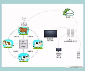 一個(gè)你不知道的神器！不了解它，連牛羊都不讓你養(yǎng)，你還談什么智慧養(yǎng)殖？